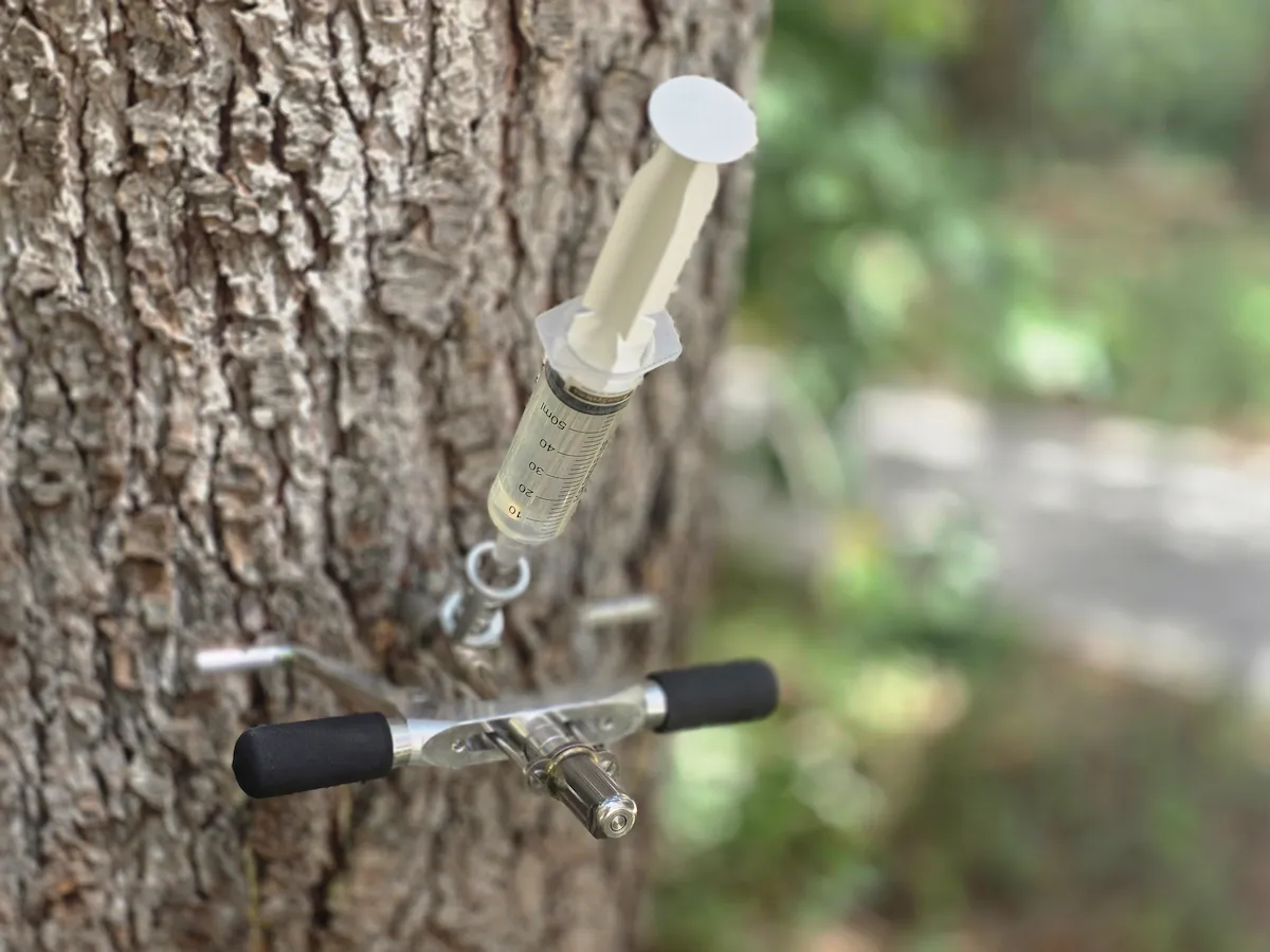 Poda profesional de arboles